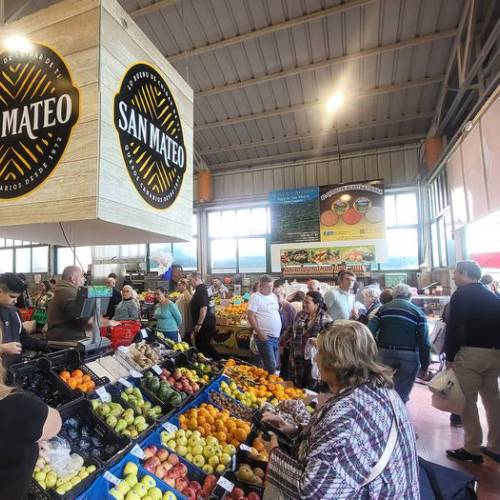 San Mateo Market