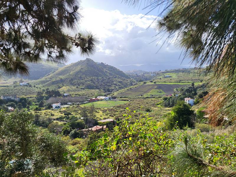 Bandama