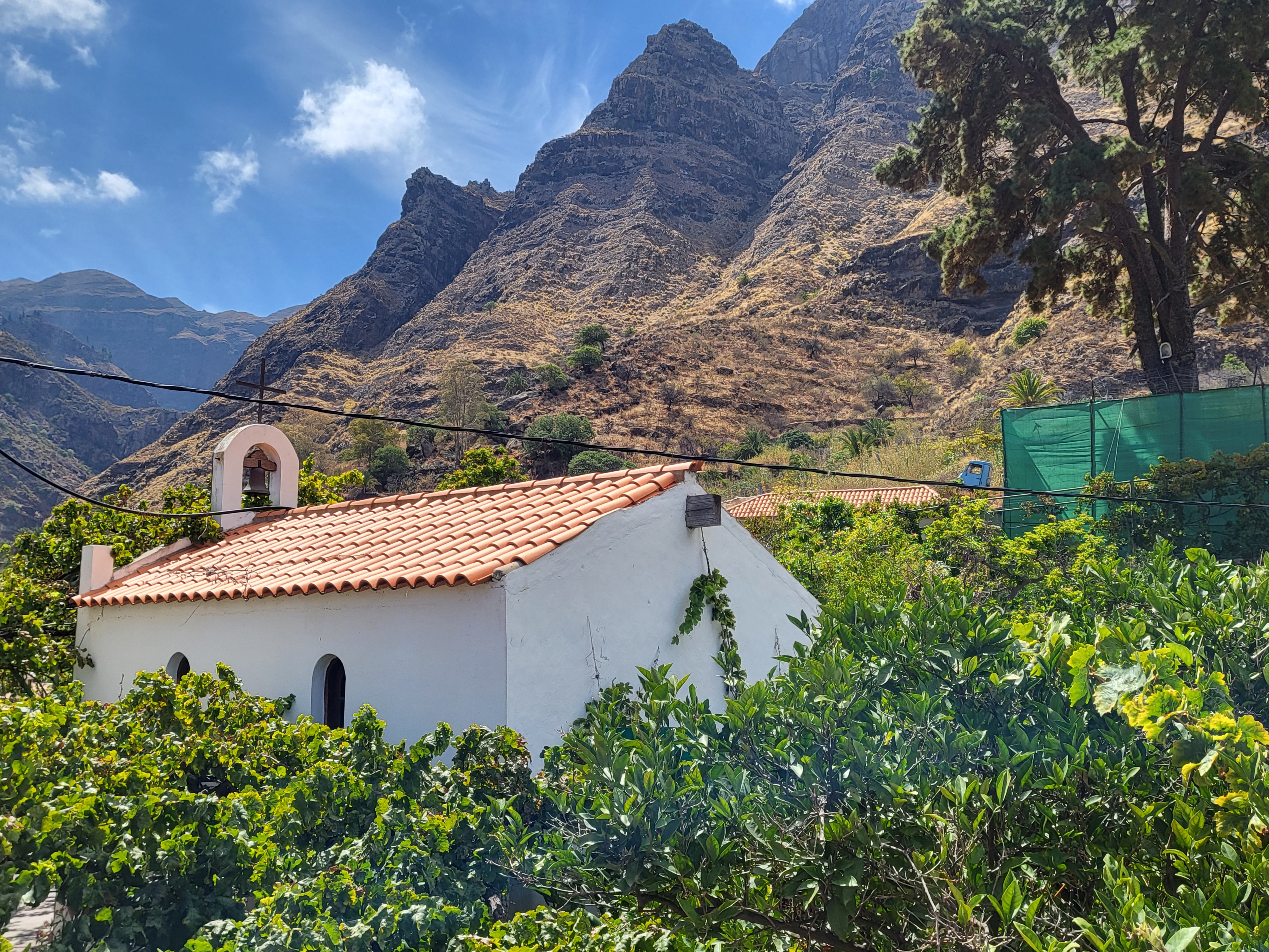 Gran Canaria Coffee Plantation