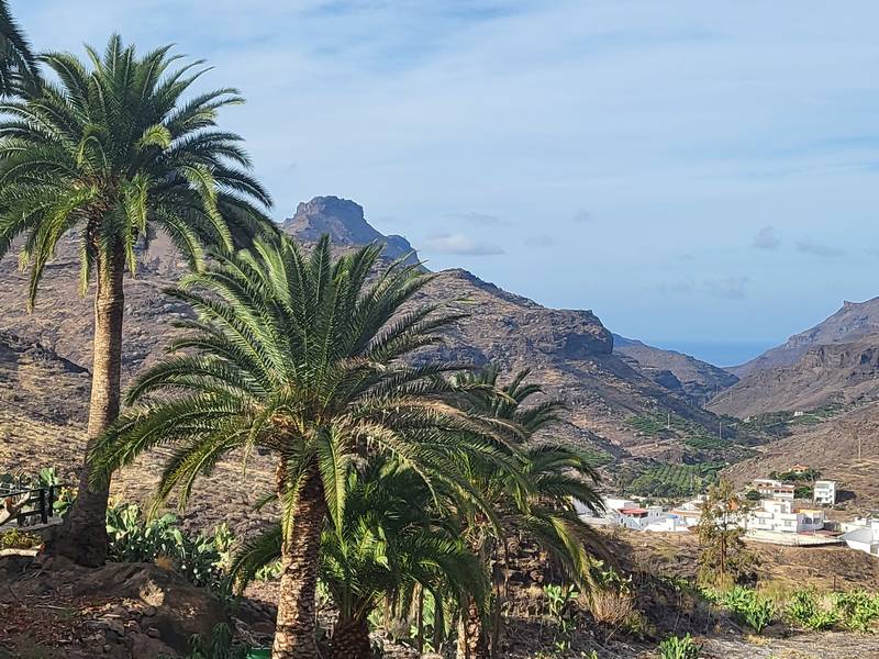 El Molino de Viento