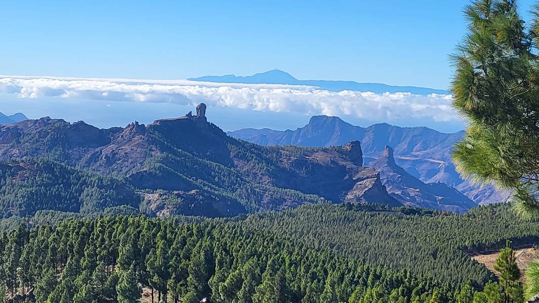 Pico de Las Nieves