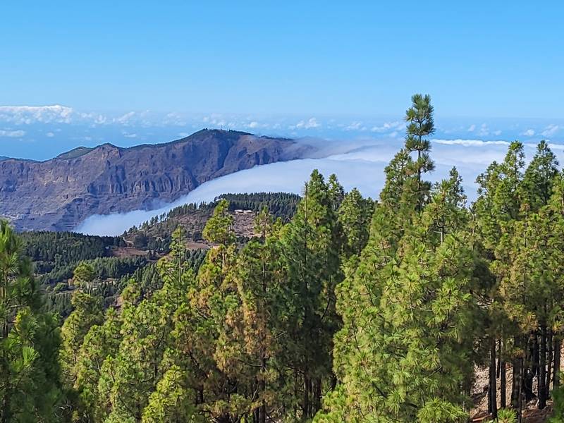Pico de Las Nieves